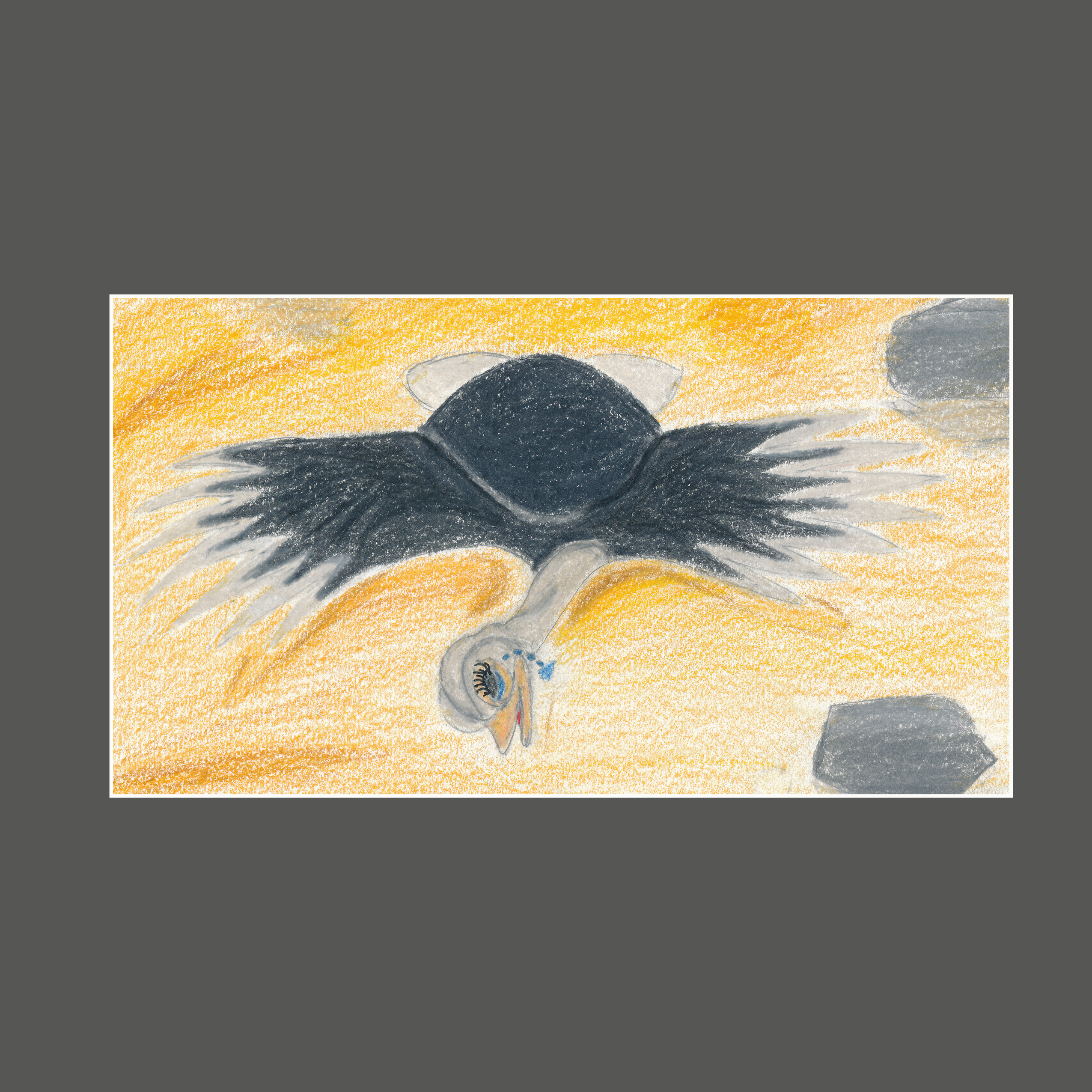 Traurige Noomi, „Noomi steckt den Kopf nicht in den Sand“ – ein gemeinsames Projekt der Familie Graf