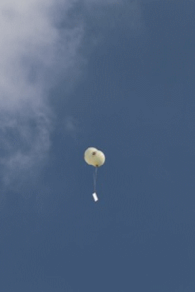 Logo, Trauer & Freude Café