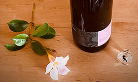 Du darfst trinken, aber nur wenn du glücklich bist!